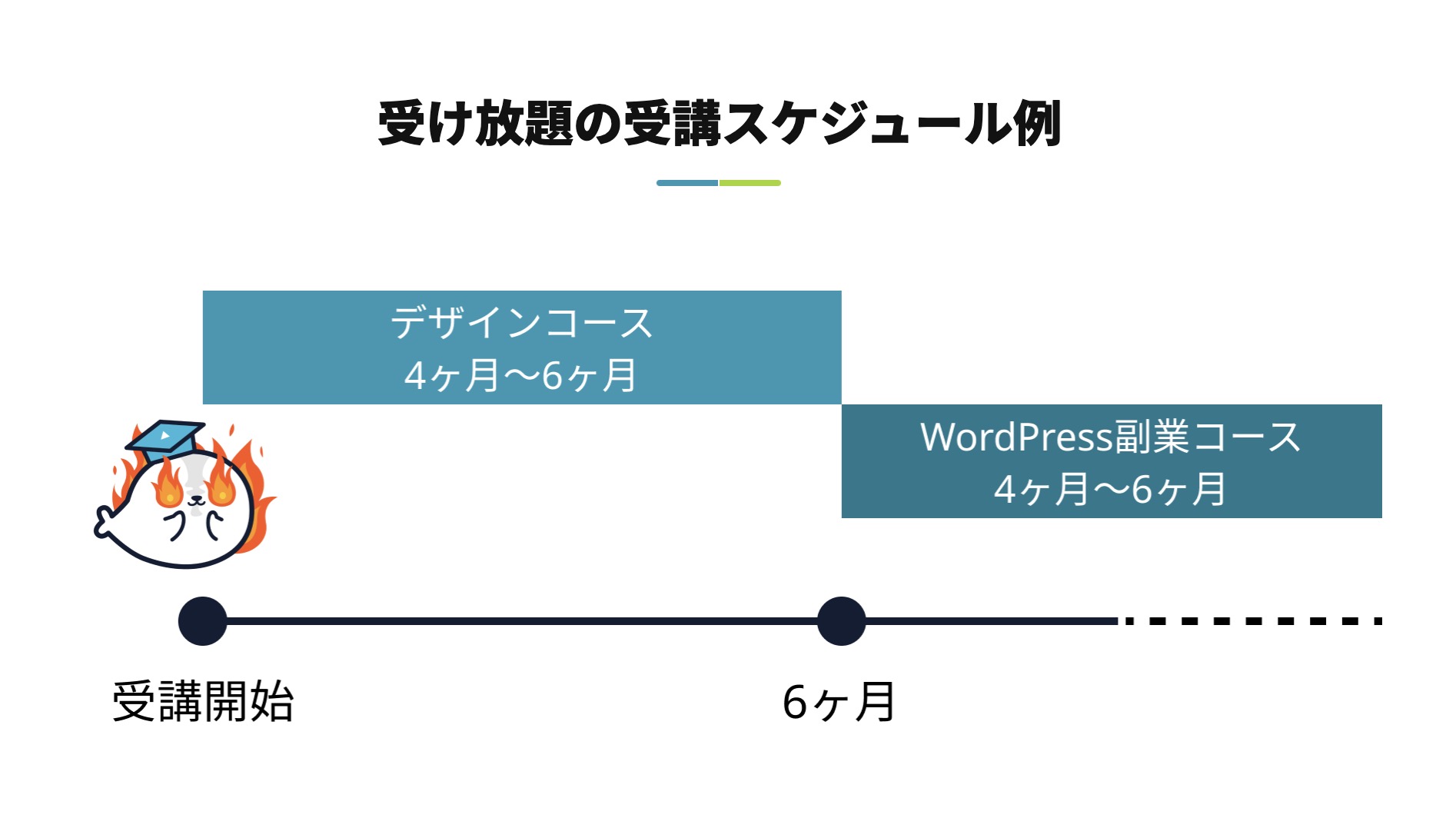 レイズテックの受け放題コース